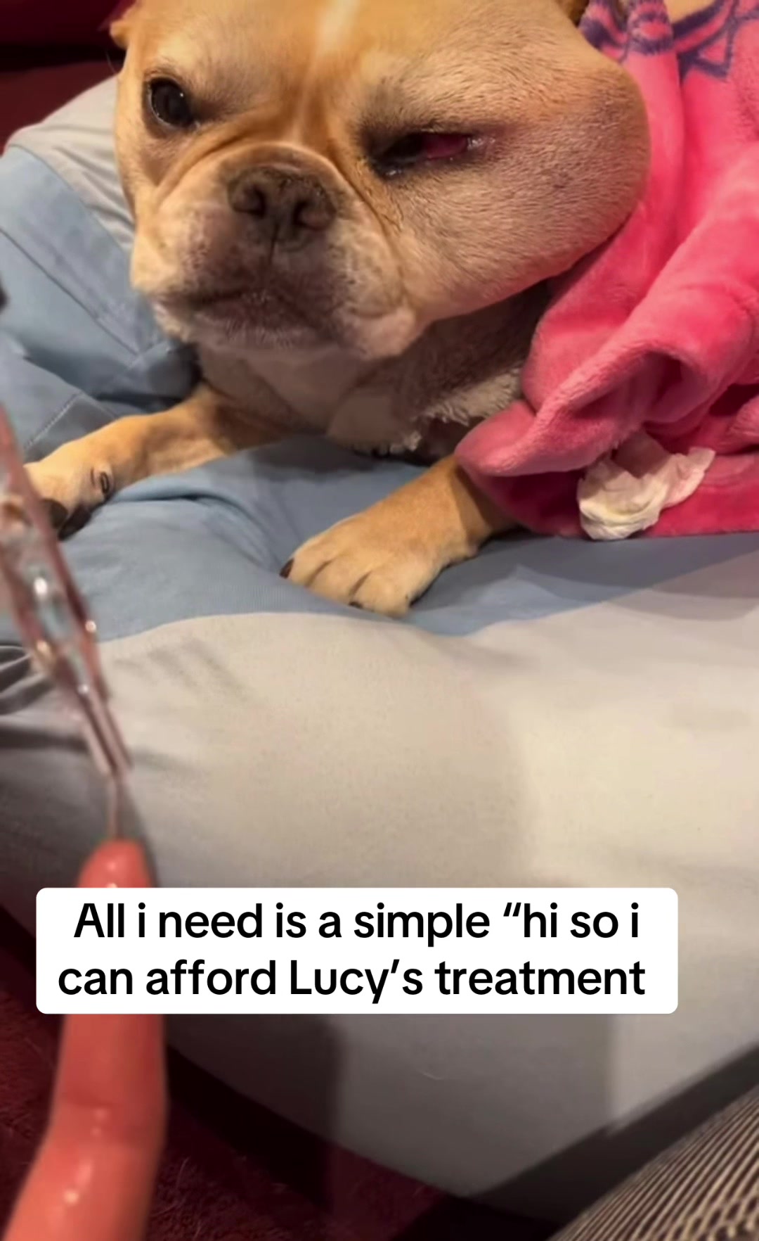 @Surgery for Lucy0