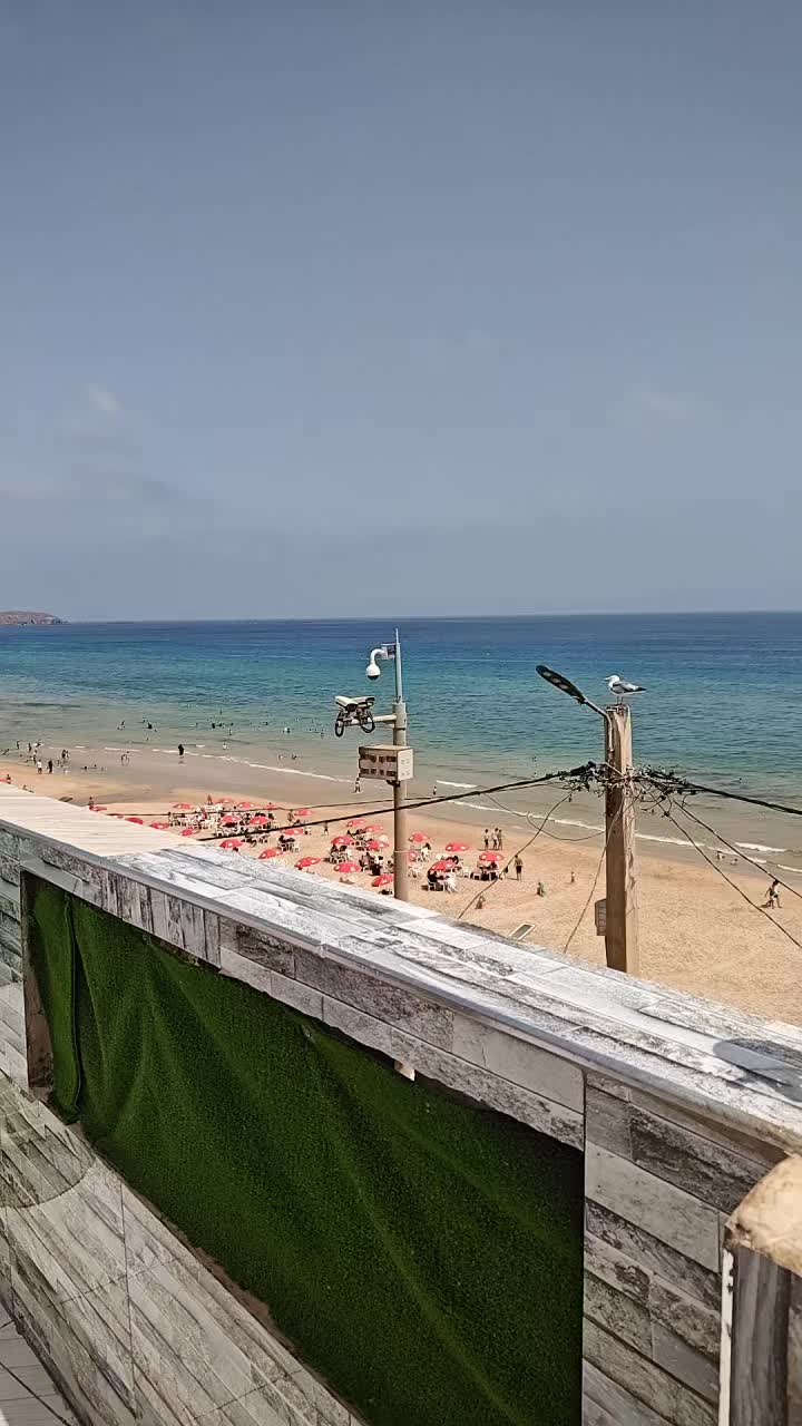 @ADEL 🏚️ Location
