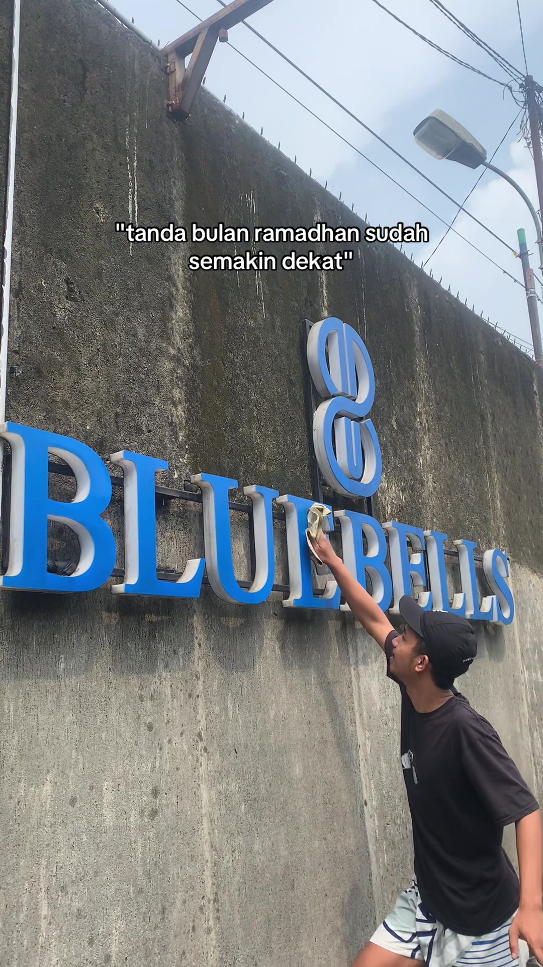 @bluebells