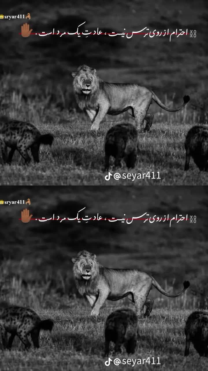 @✐✎✐✎✐ Zabih Allah M ✐✎✐✎✐