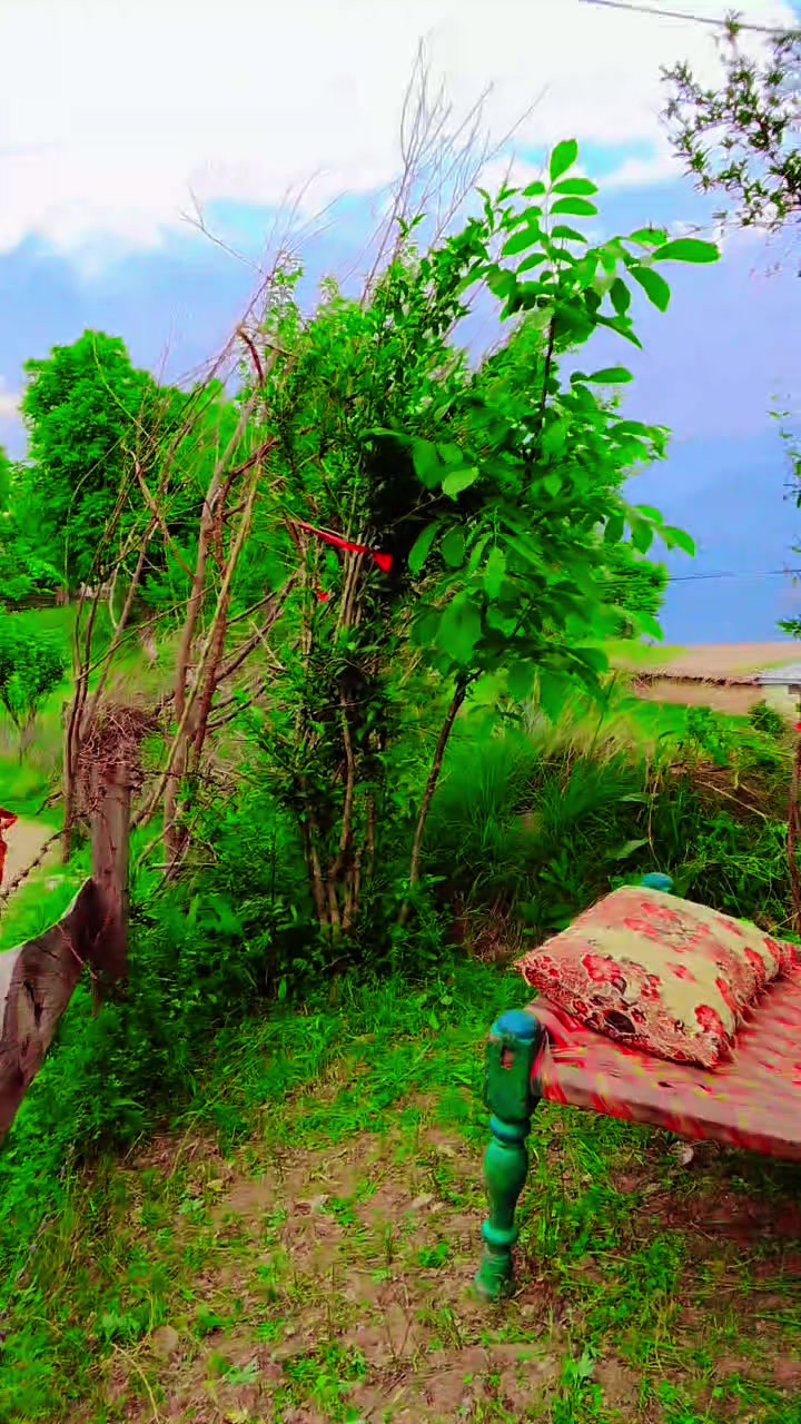 @صیام ستی