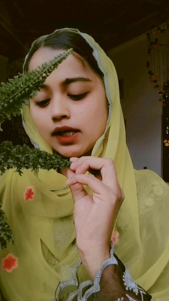 @ZOYA
