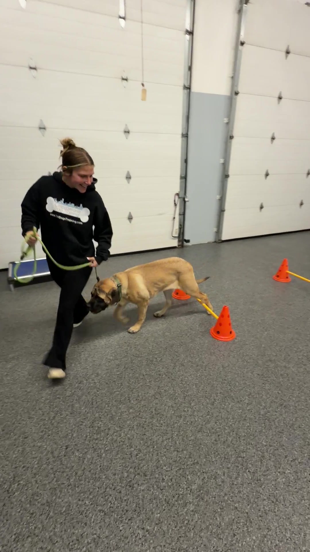@Chicagoland Dog Training