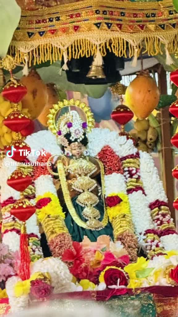 @sivasath