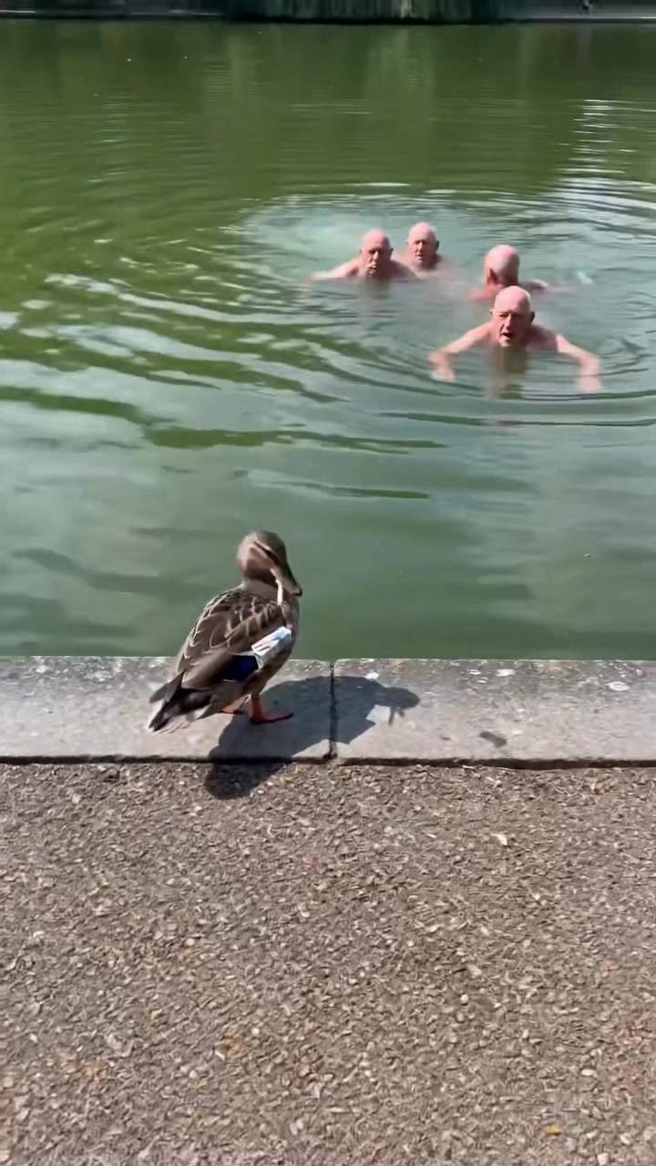 @ 