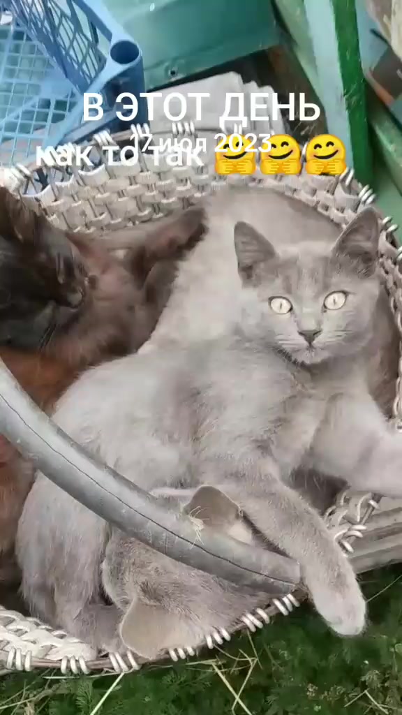 @Юрик