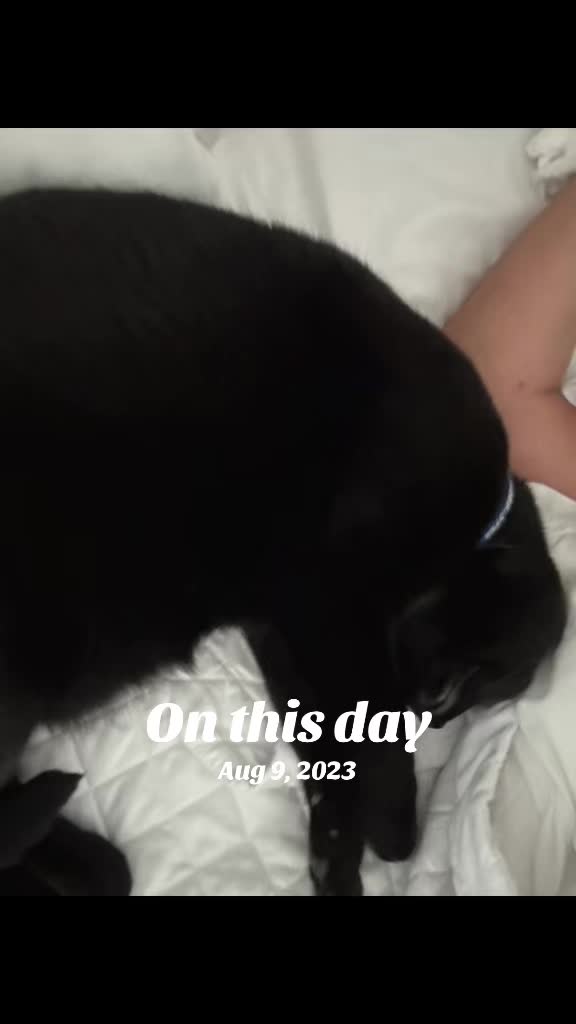 @Oscar Jeremy the cat!
