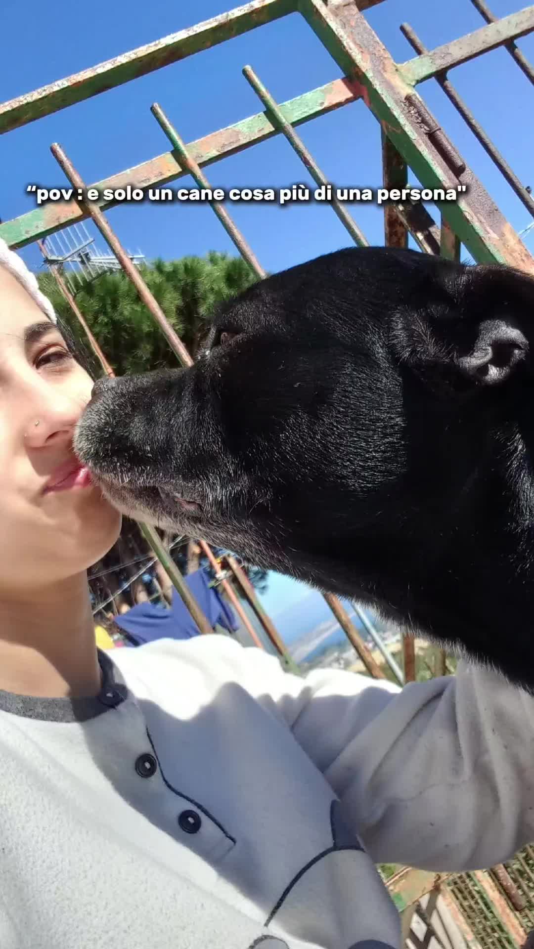 @Sharoncory