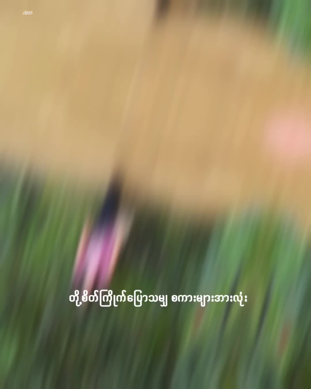@April Queen