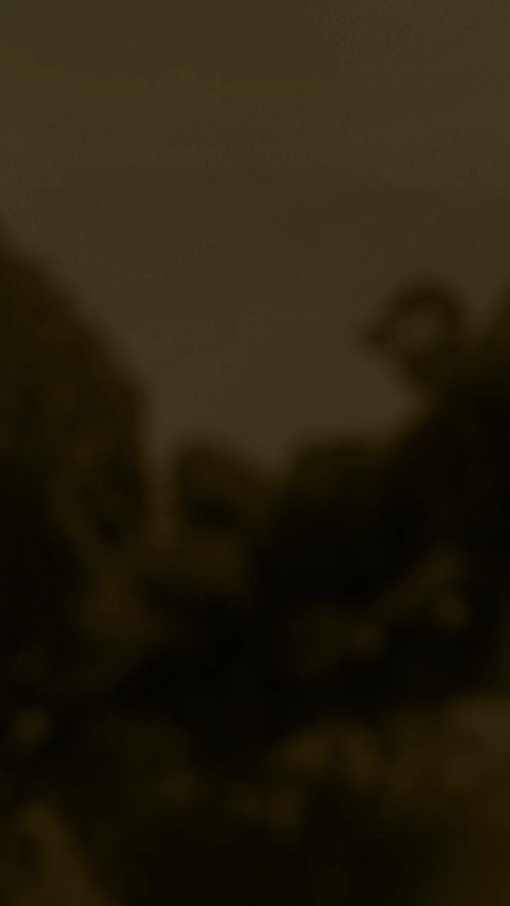 @محمود جمصه