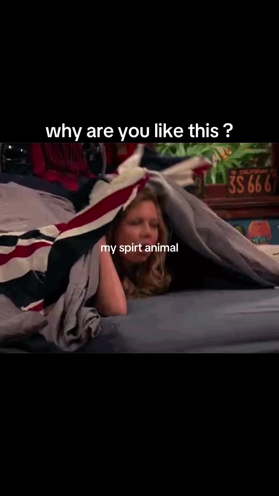 @historyeditor