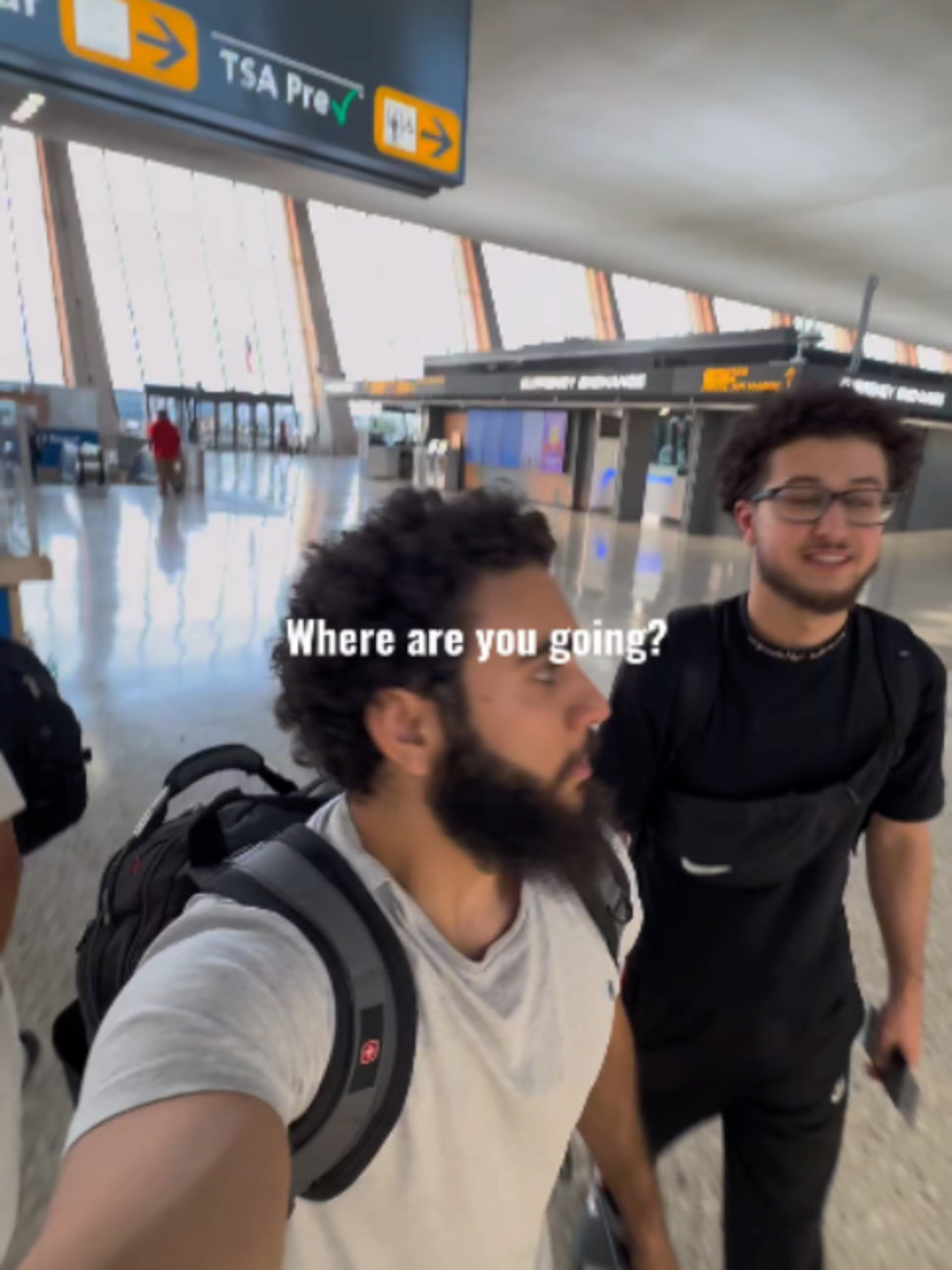 @tazthepali