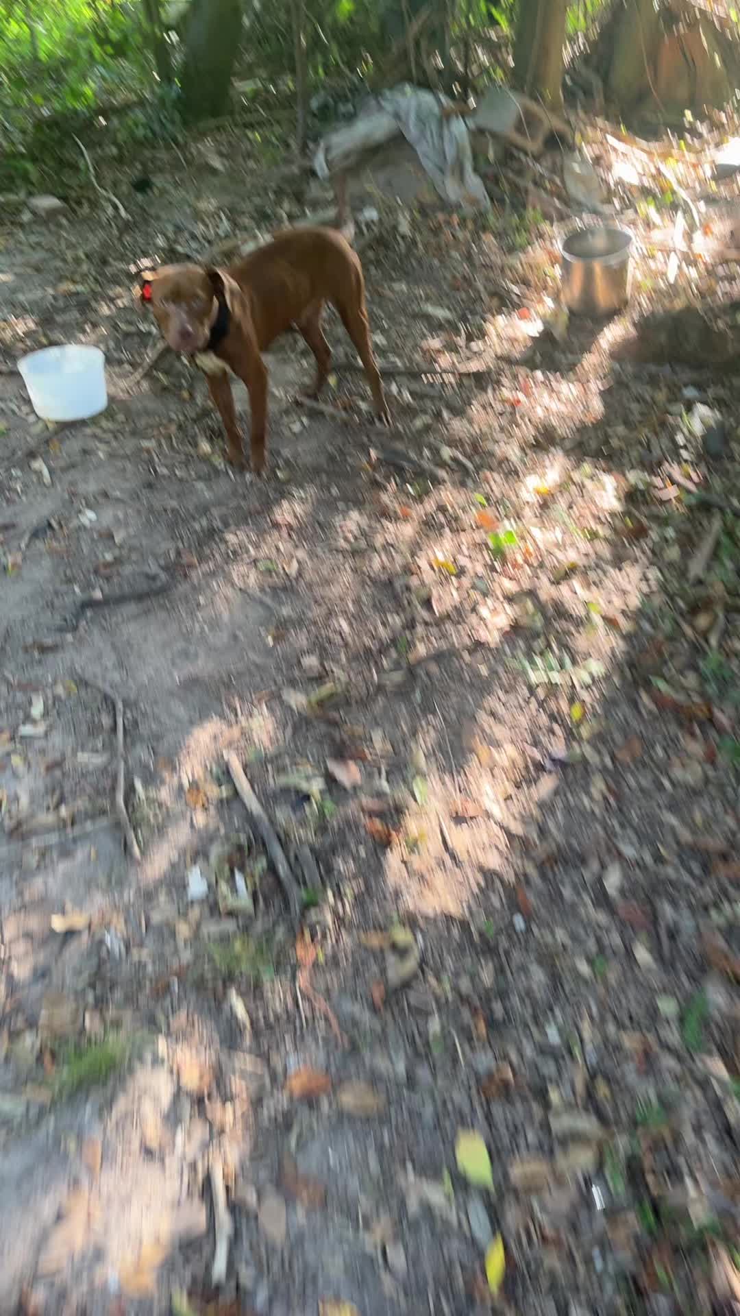 @kamwithapbt