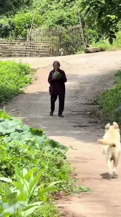 @Funny