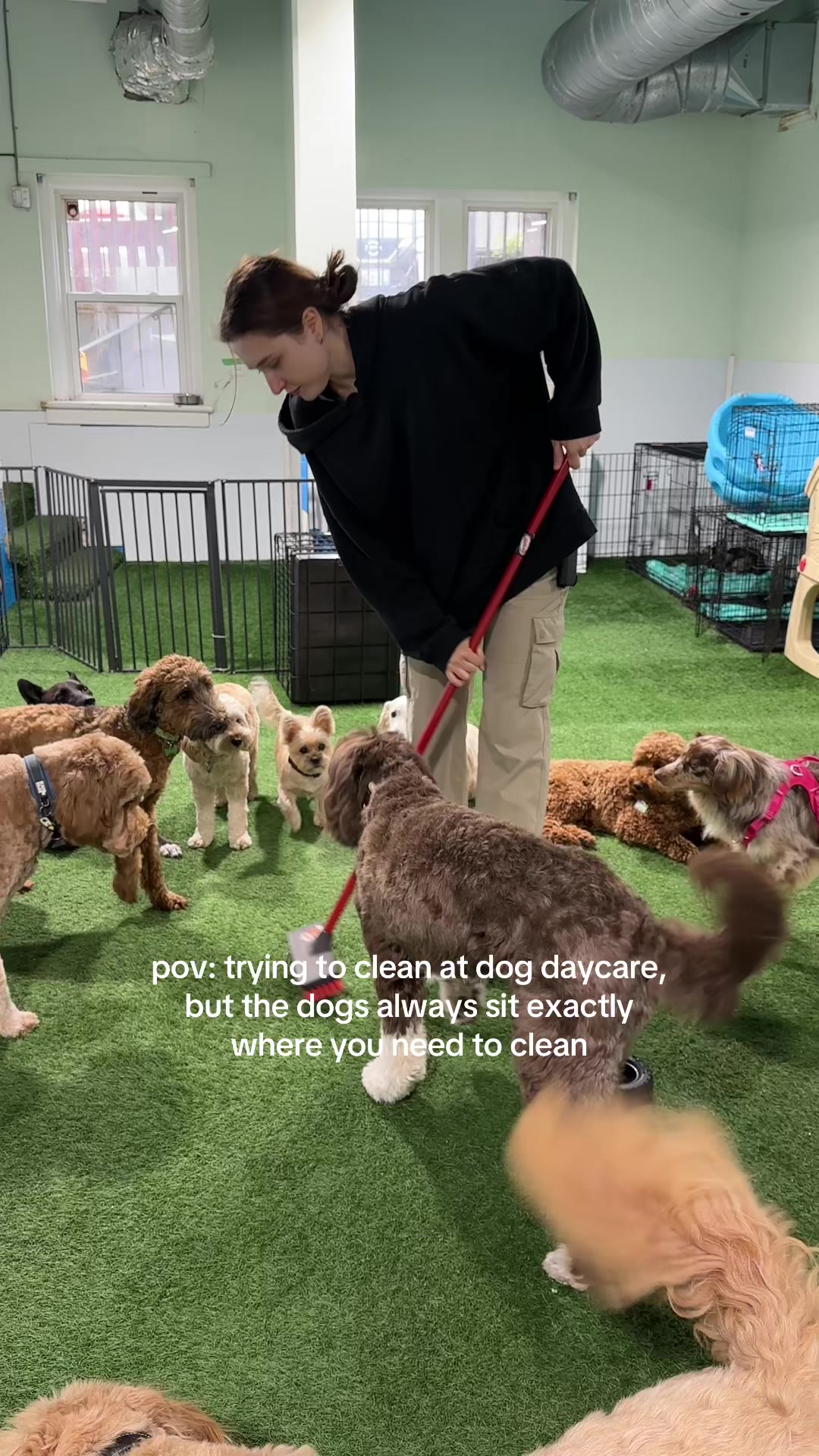 @Camp Canine Toronto