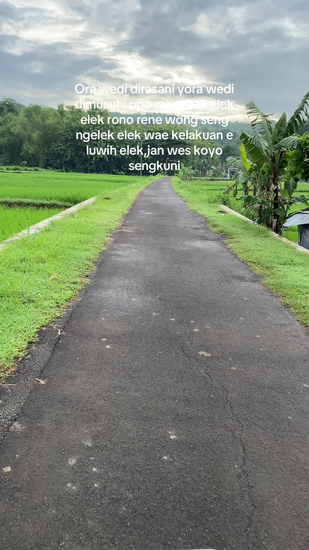 @NiaSari ☘️
