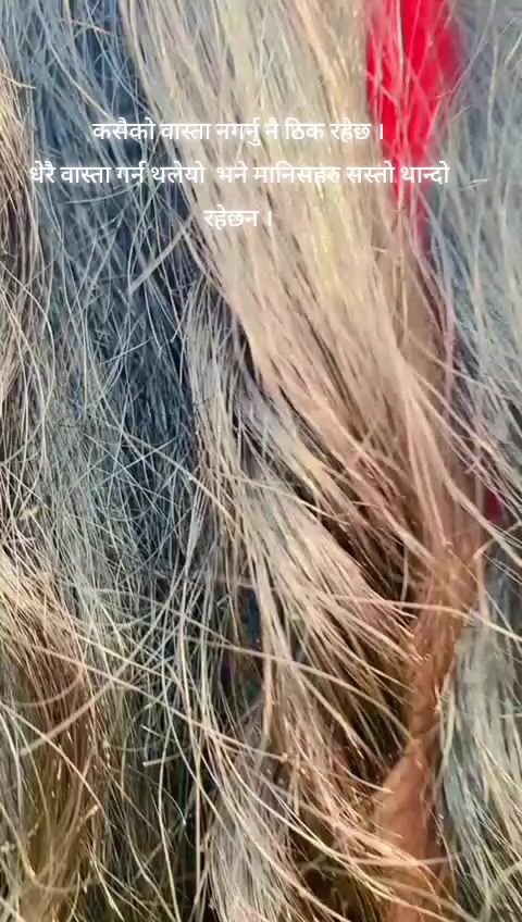@Anjana