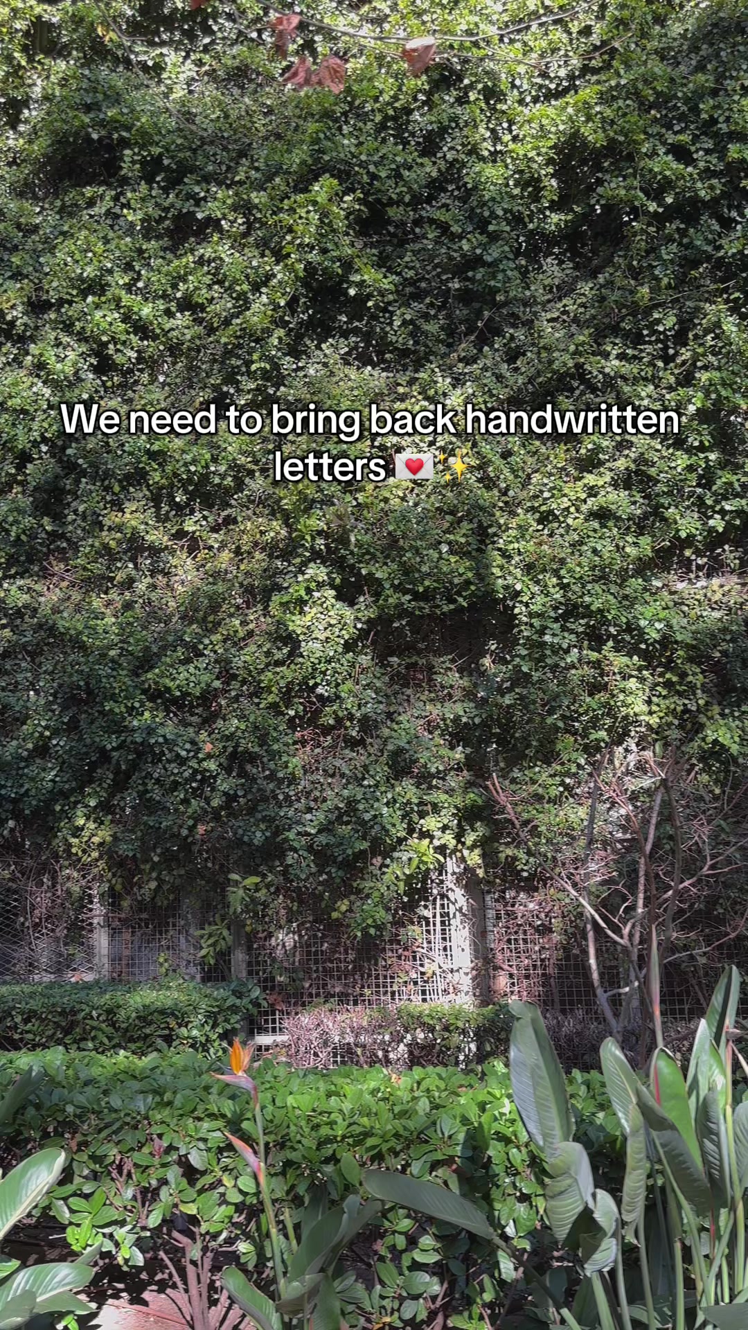 @MALAIKA