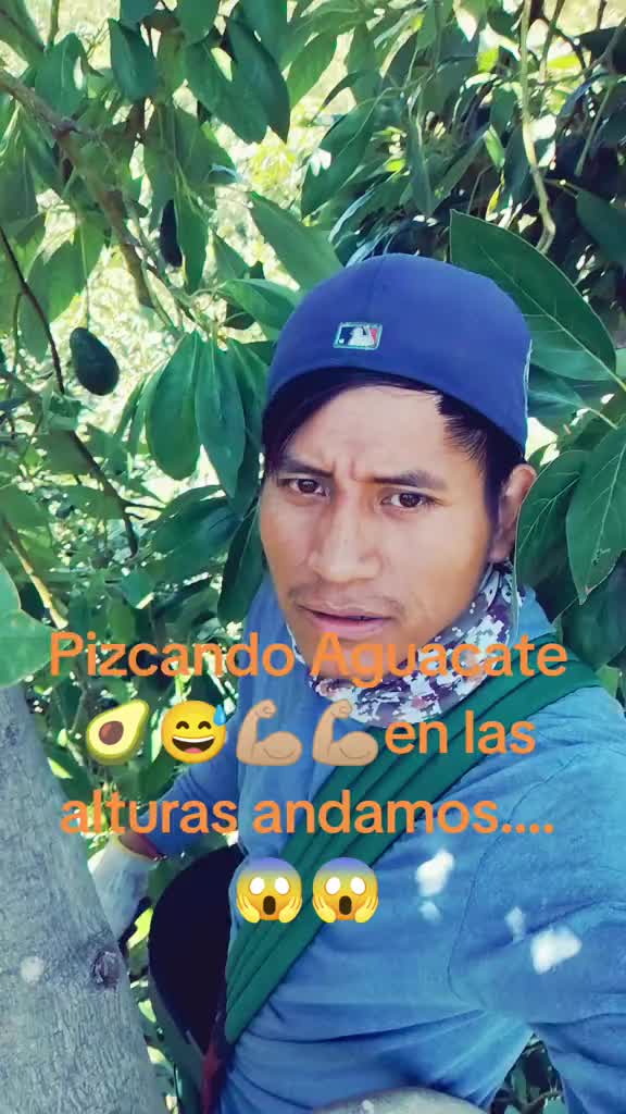 @Elo Santana 🥑🍊🍋