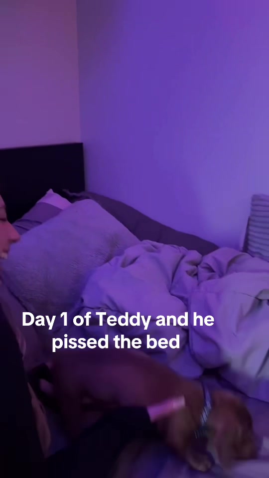 @Bel