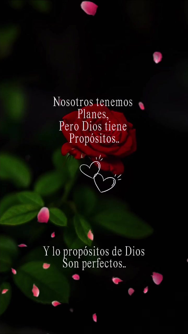 @margarita nolasco