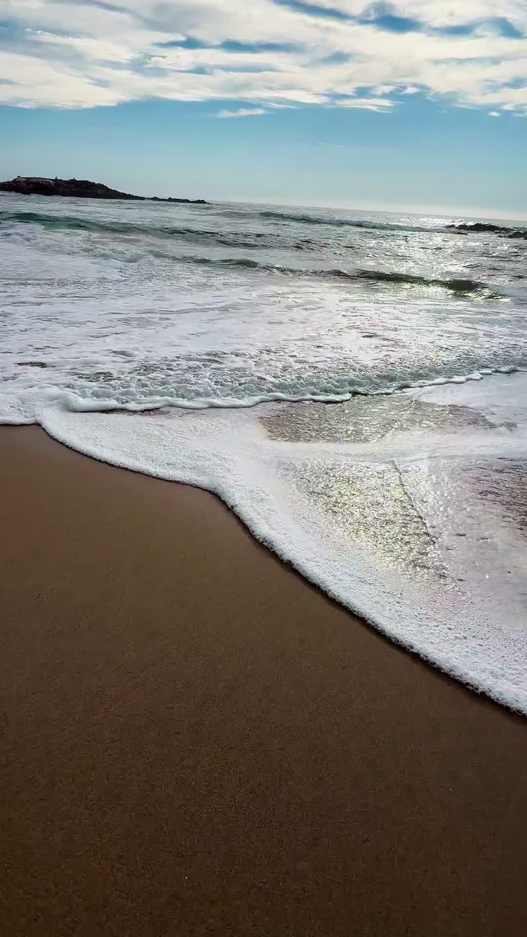 @santoscoronado415