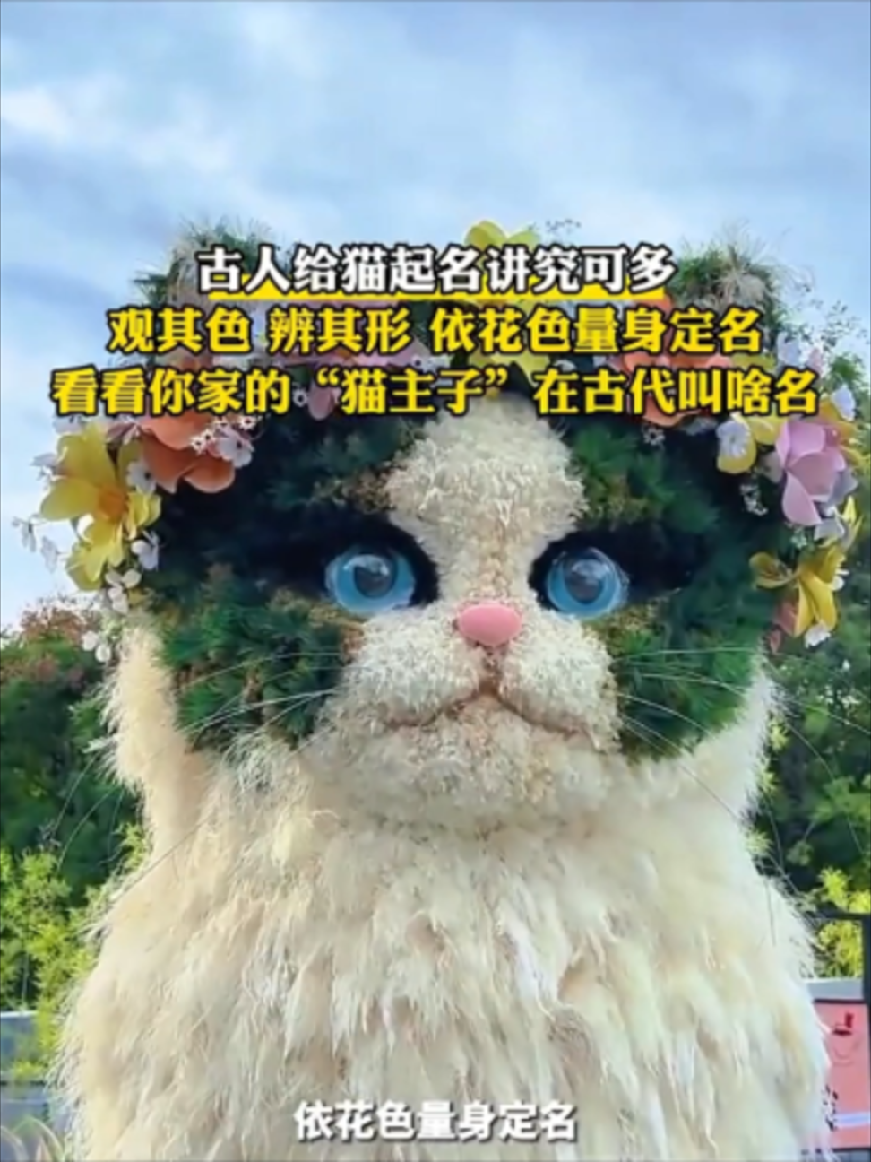 @闽南风~