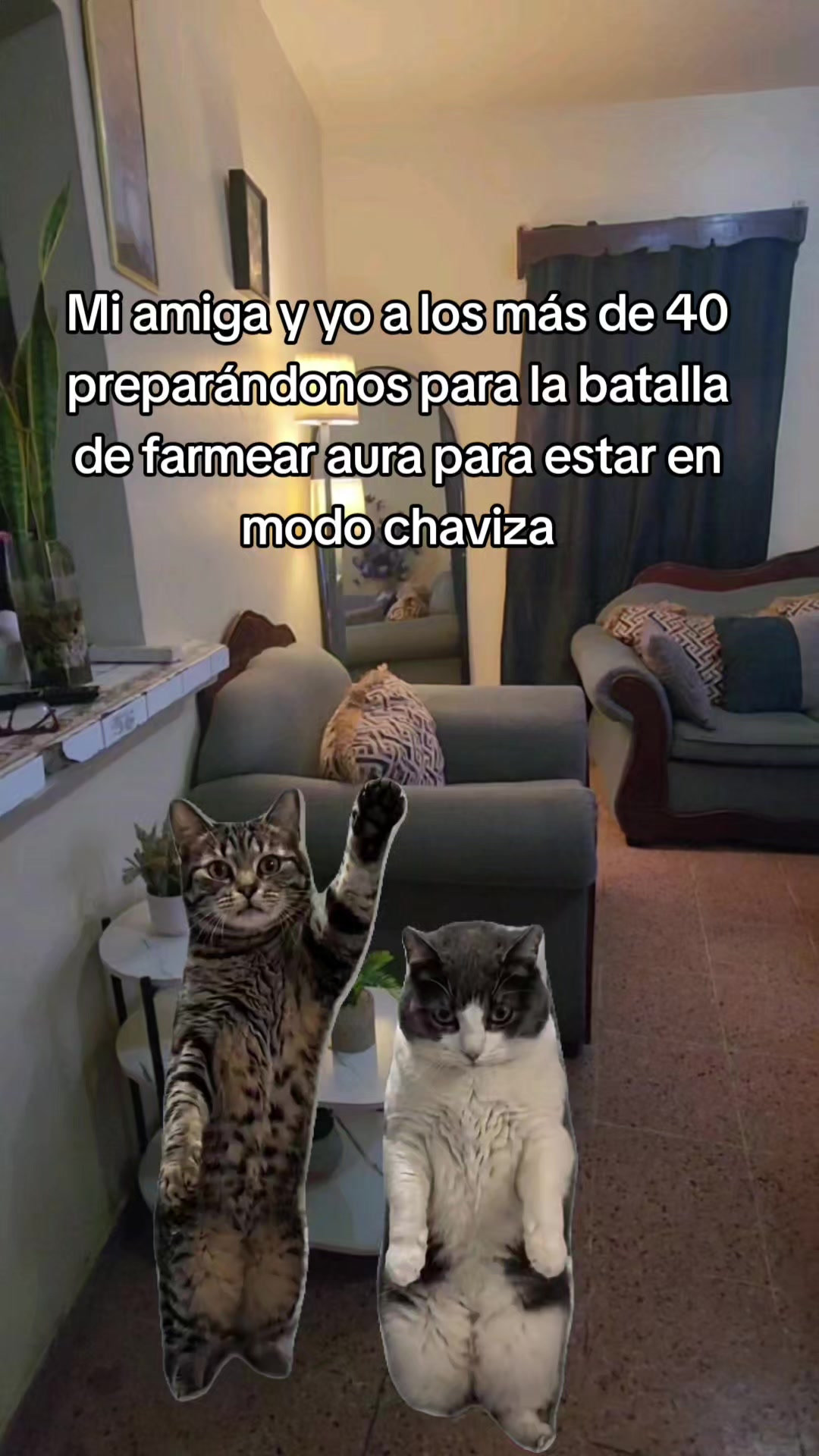 @Misinguita Cárdenas 😻