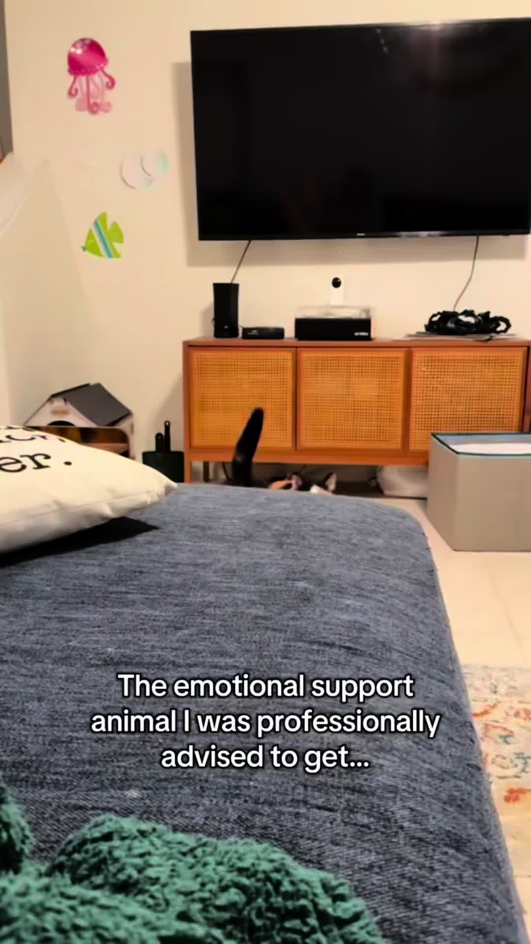 @thekingshlo