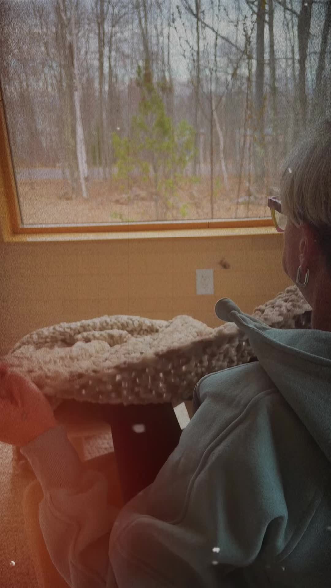 @Lori | Midlife + Grief