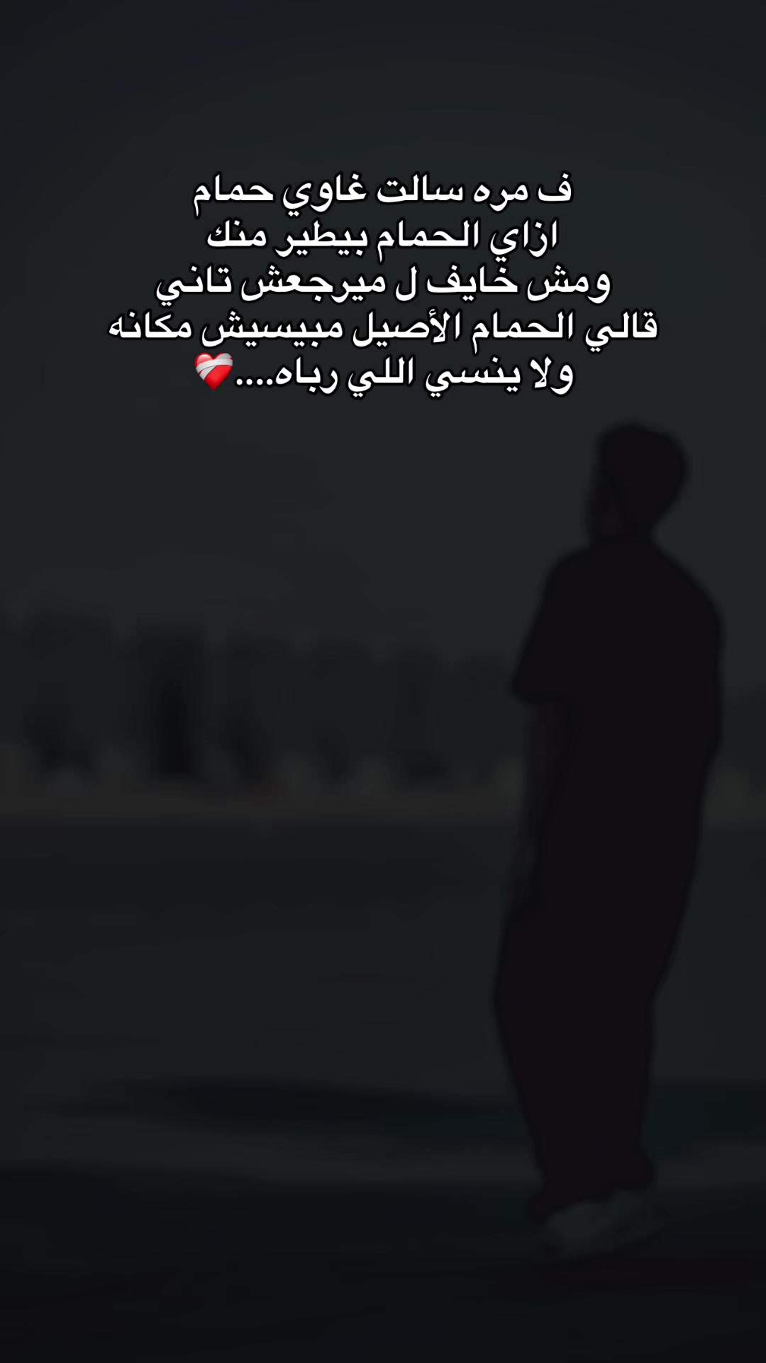 @๐ฌ๐งโ
M O S T A F A โ
๐ฌ๐ง