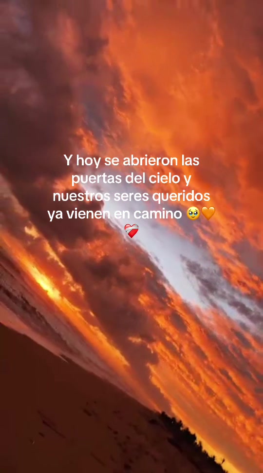 @ximevilla
