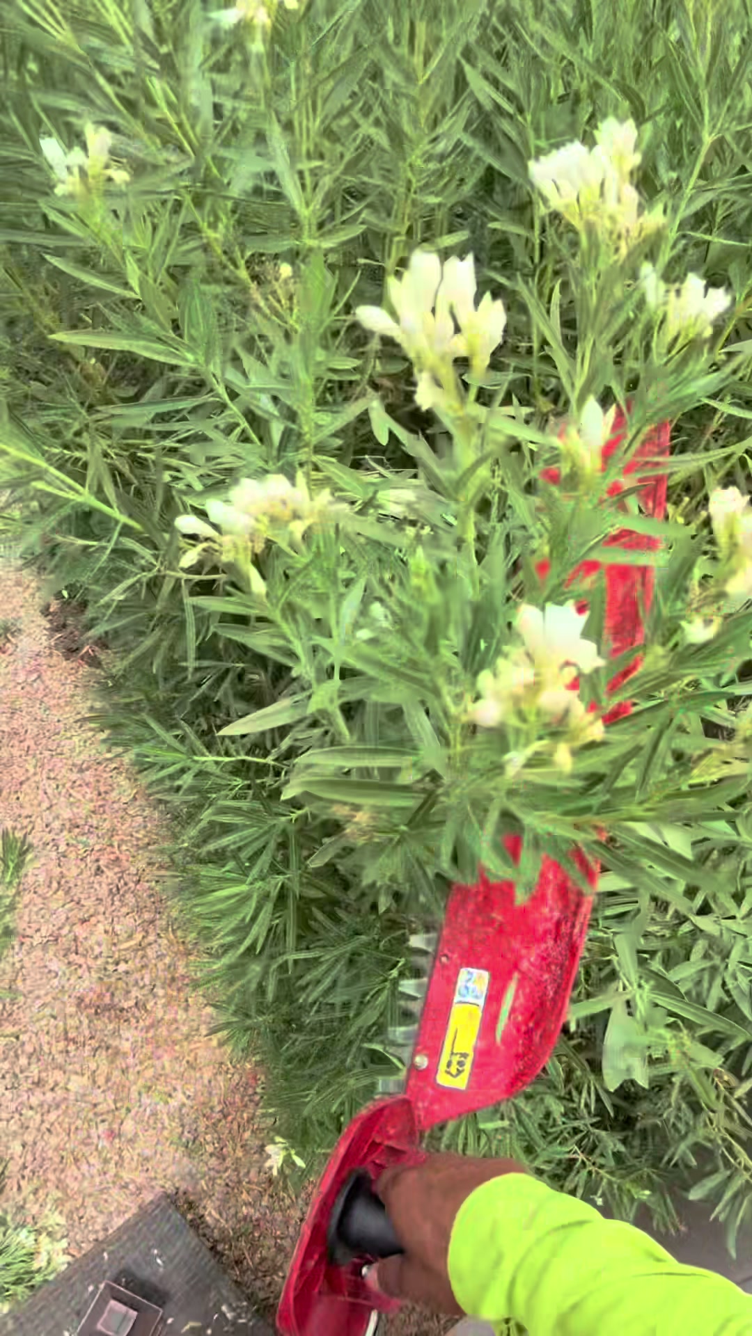 @landscaping