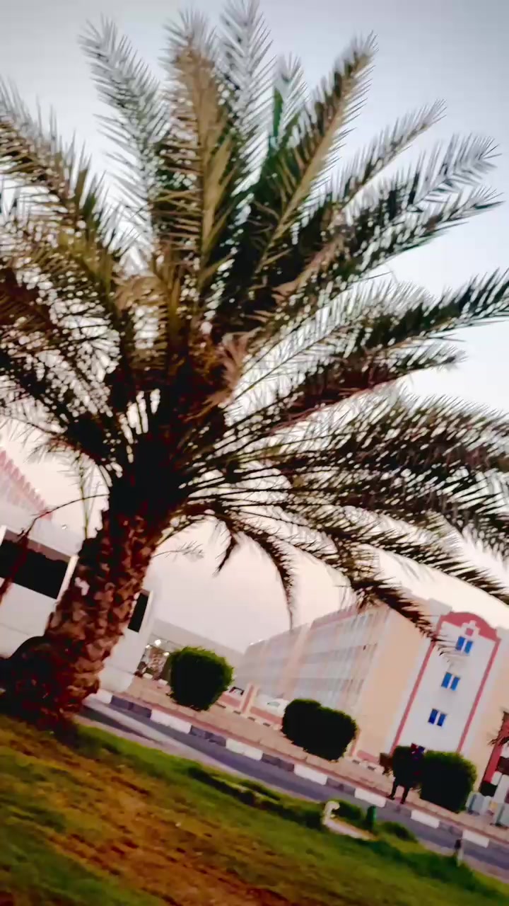 @حکیم اجز ❤️