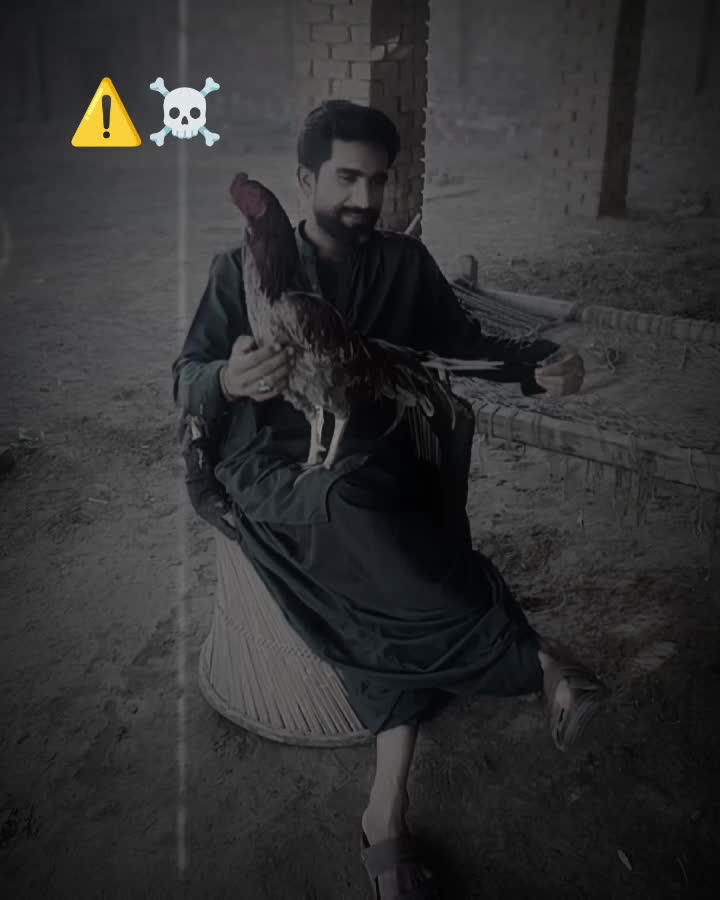 @Meer Taswarali⚔️⚔️🚩🚩