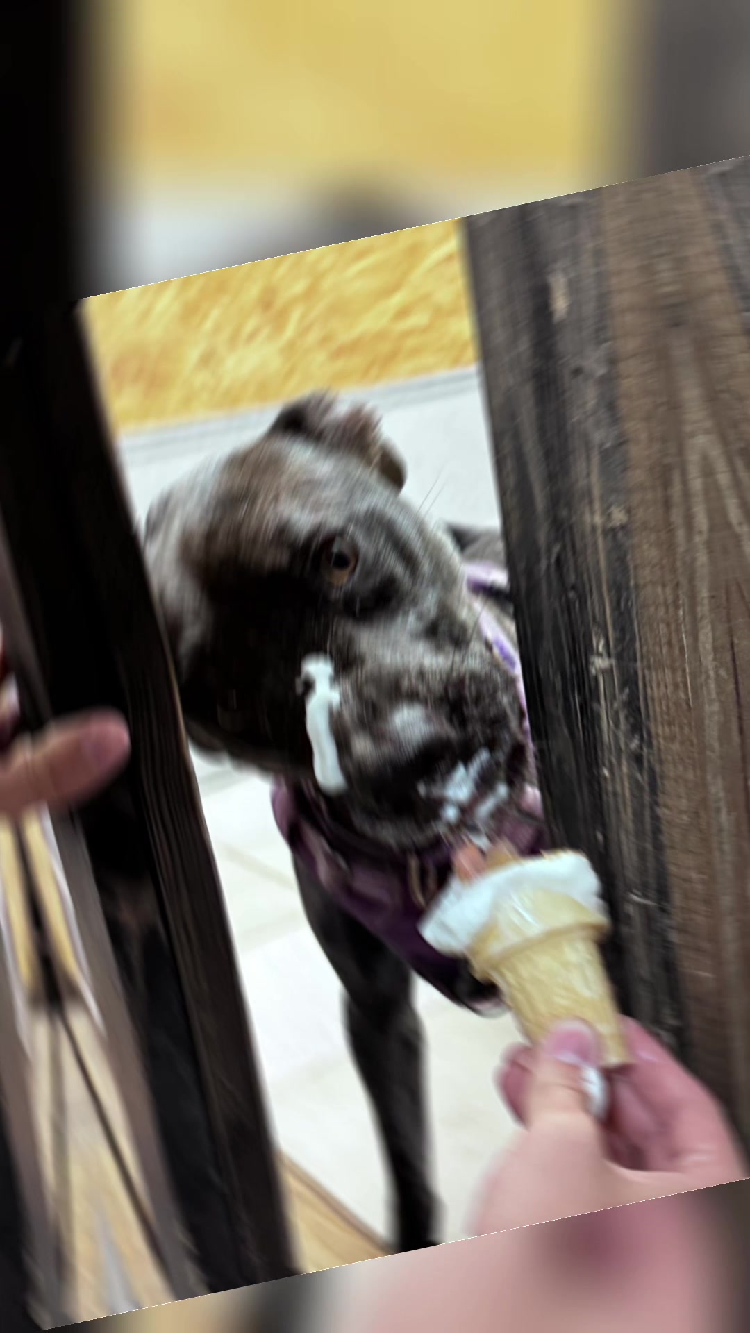 @Kind Keeper Animal Rescue
