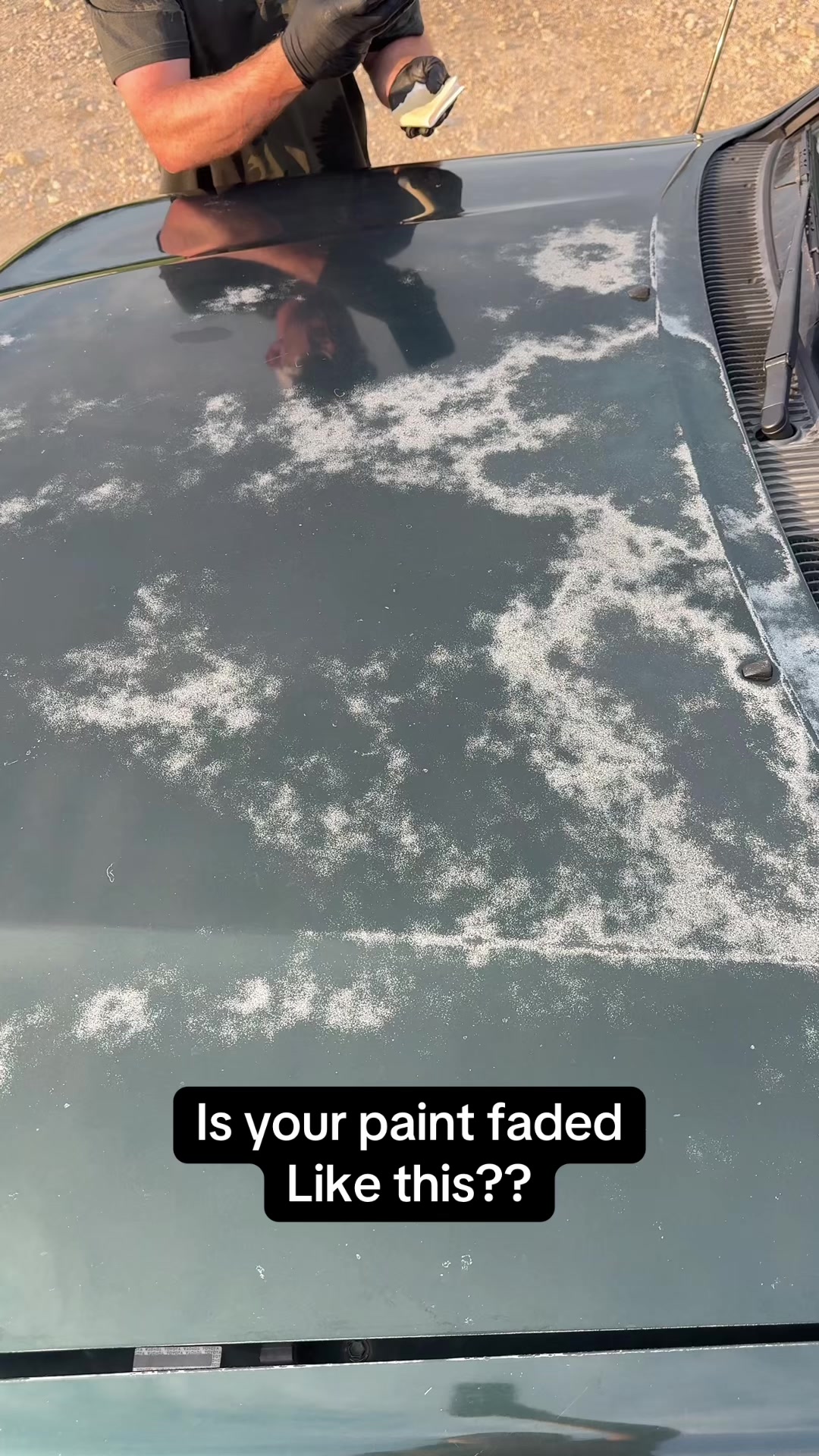 @Shiny Car Stuff