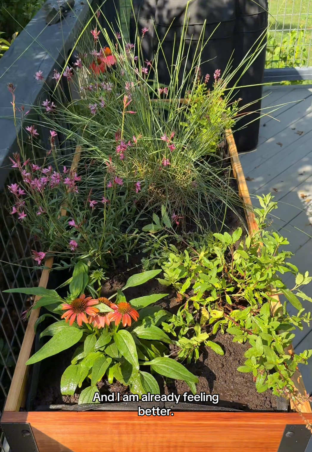 @The Ever Hopeful Gardener