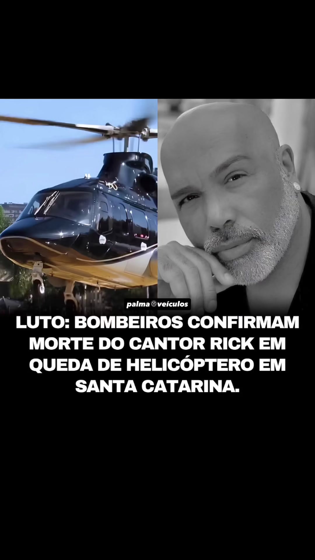 @palmaveiculos