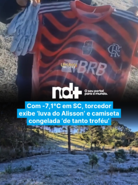 @portalndmais