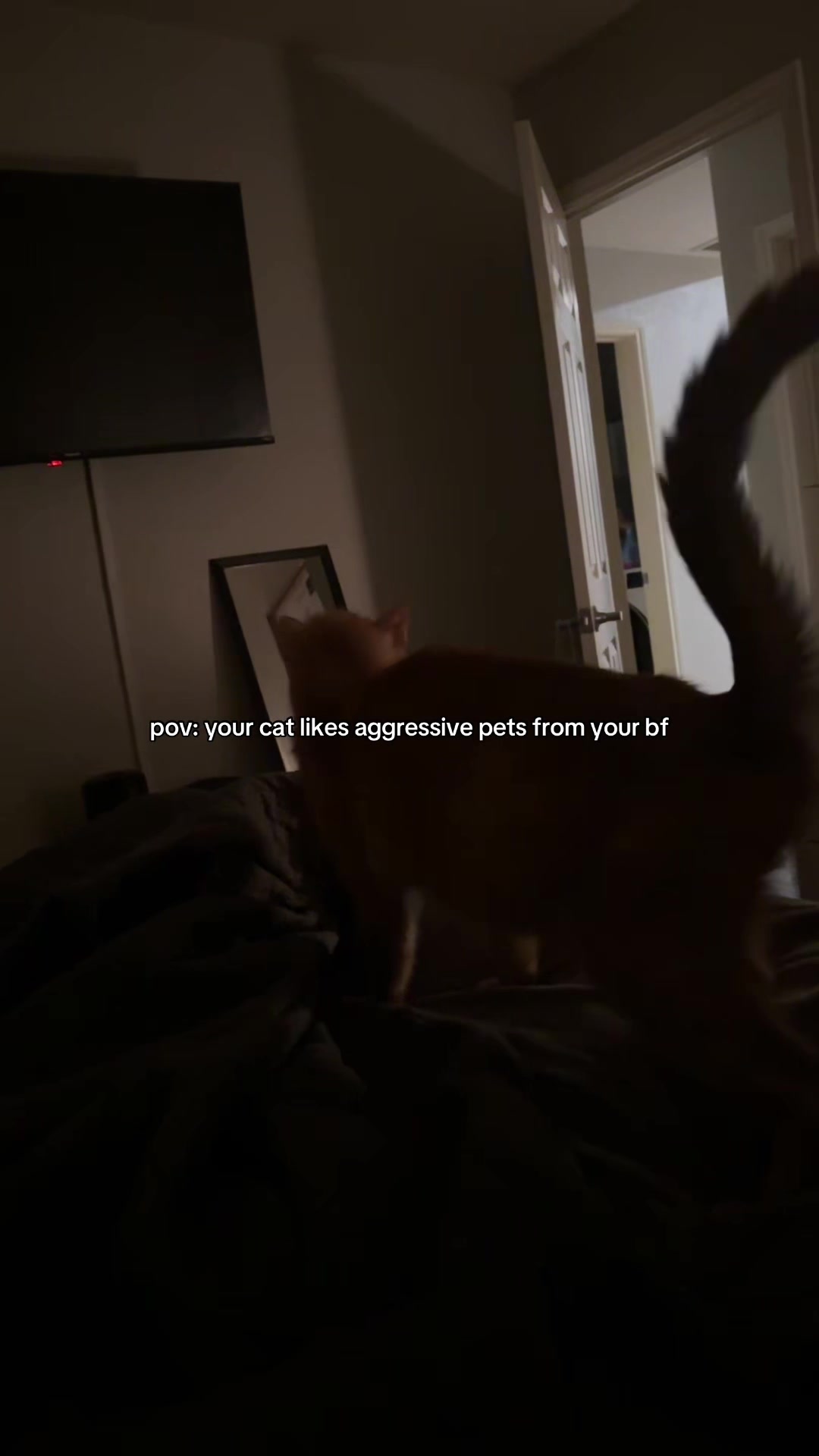 @dani