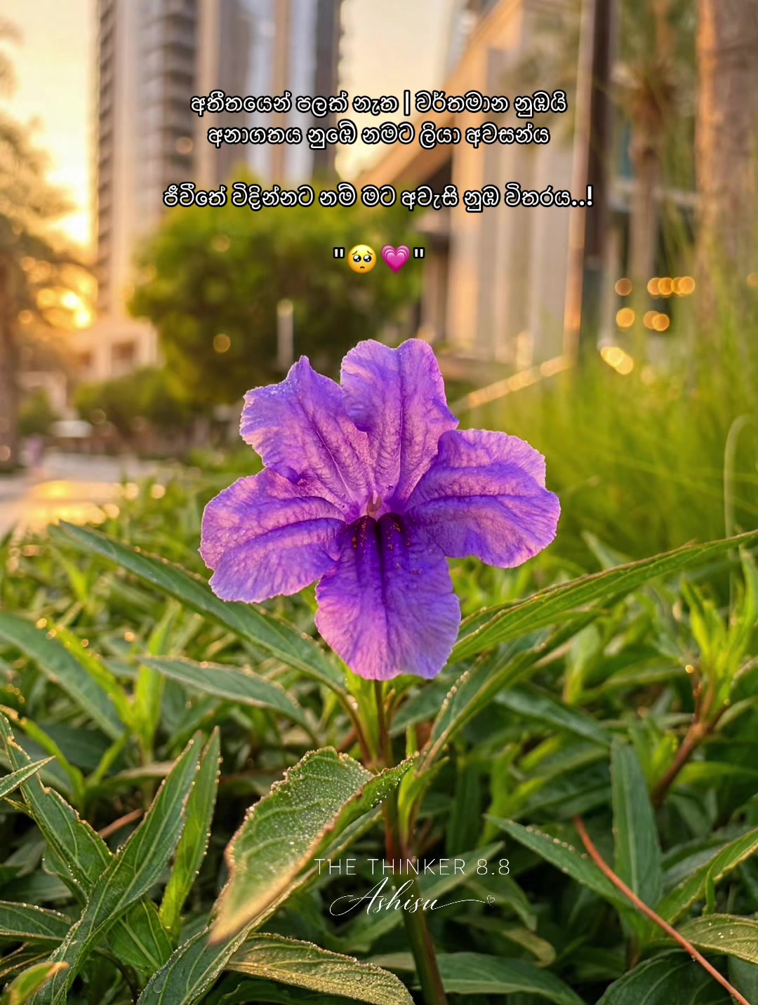 @asanthiraja33