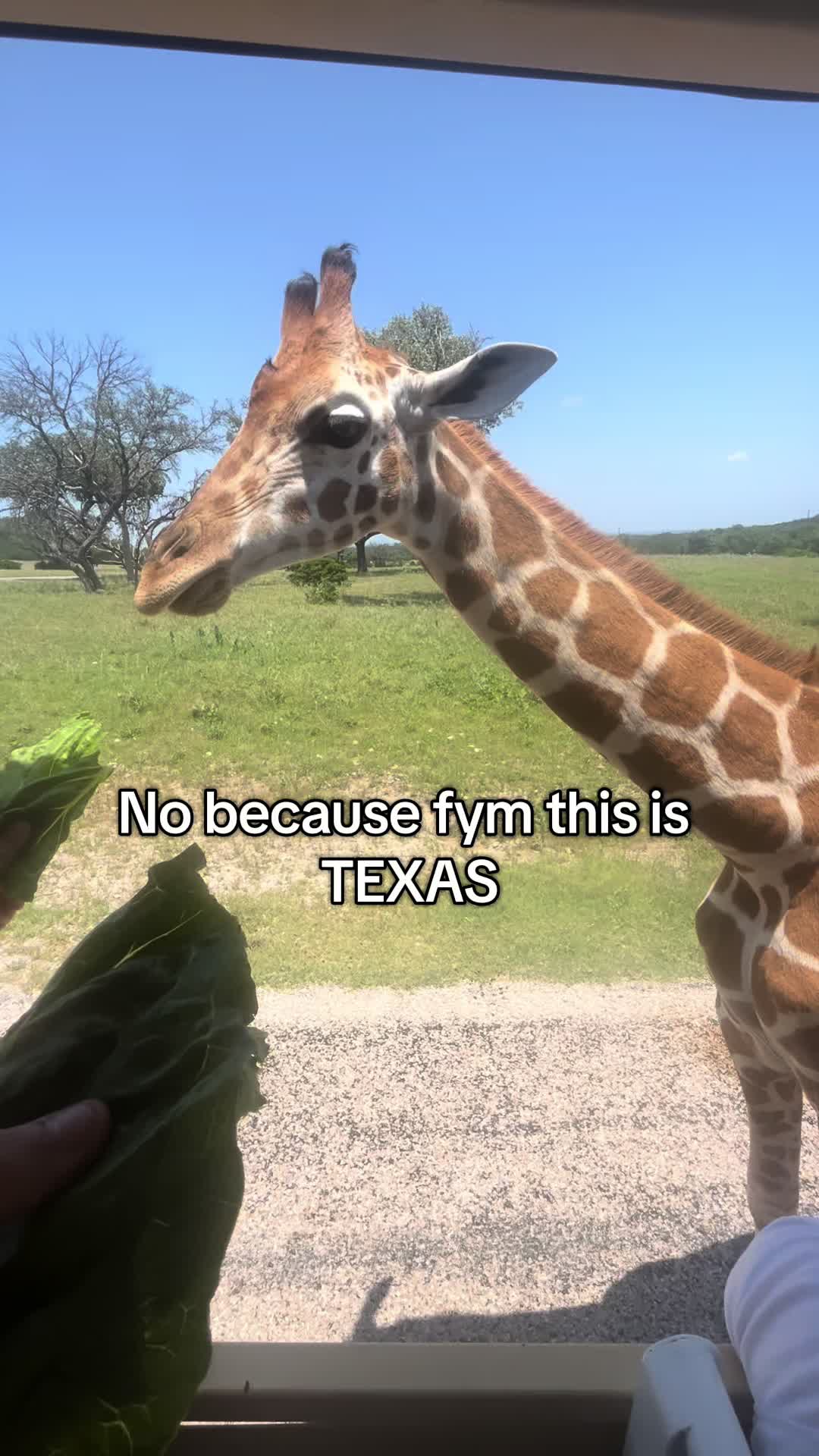 @Idk