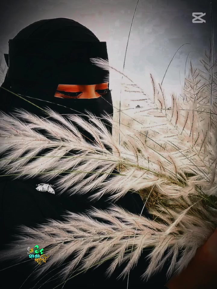@┈━═☆❣️𝕽️𝖚️𝖕️𝖆️❣️☆═━┈