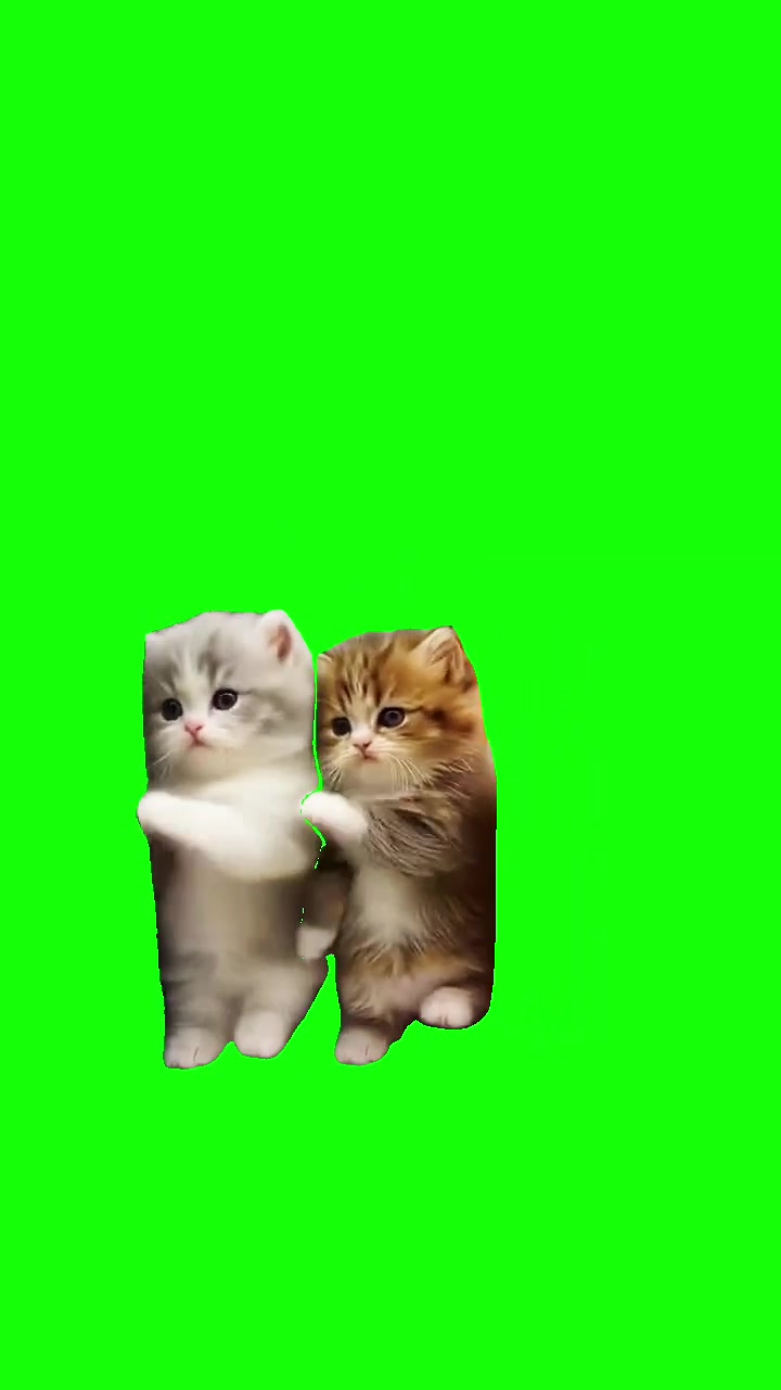 @Green Screen Memes