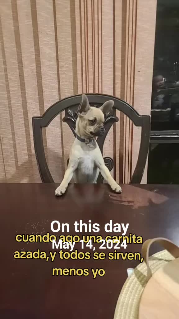 @PEDRO NAVARRO