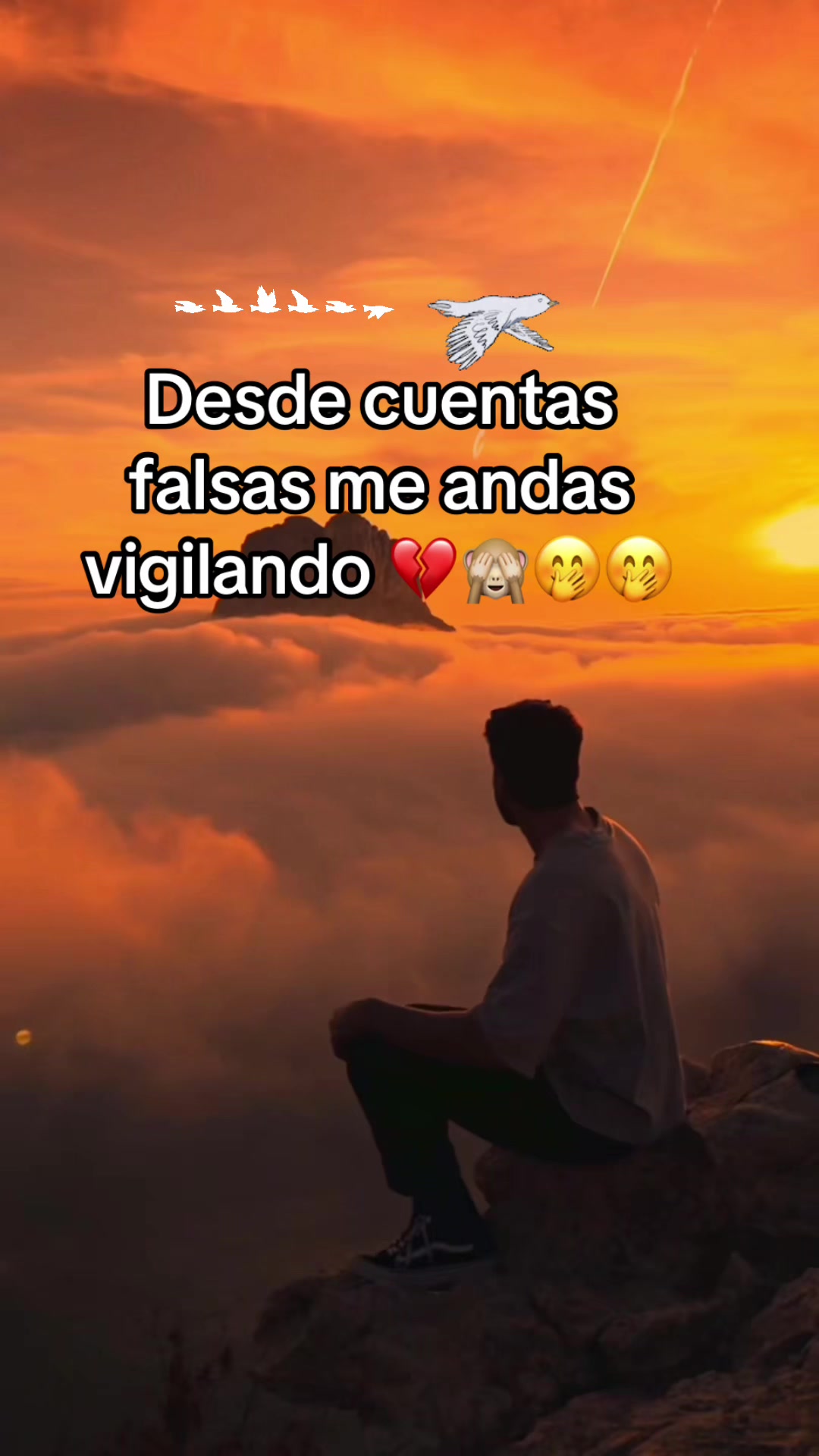 @JC &hearts;️Tu Consentido
