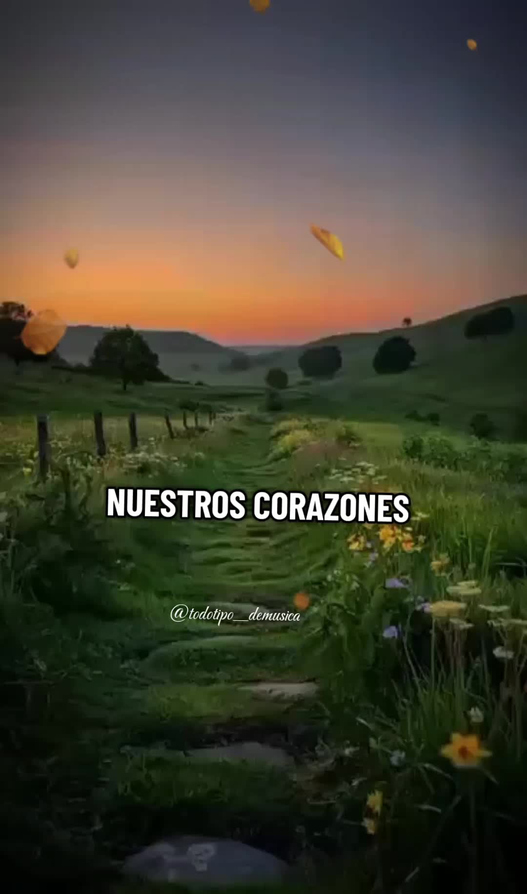 @Todo tipo de musica
