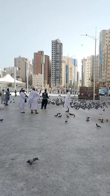 @🇵🇰∆&Auml;S&Auml;D &Aring;L&Iuml;∆🇸🇦
