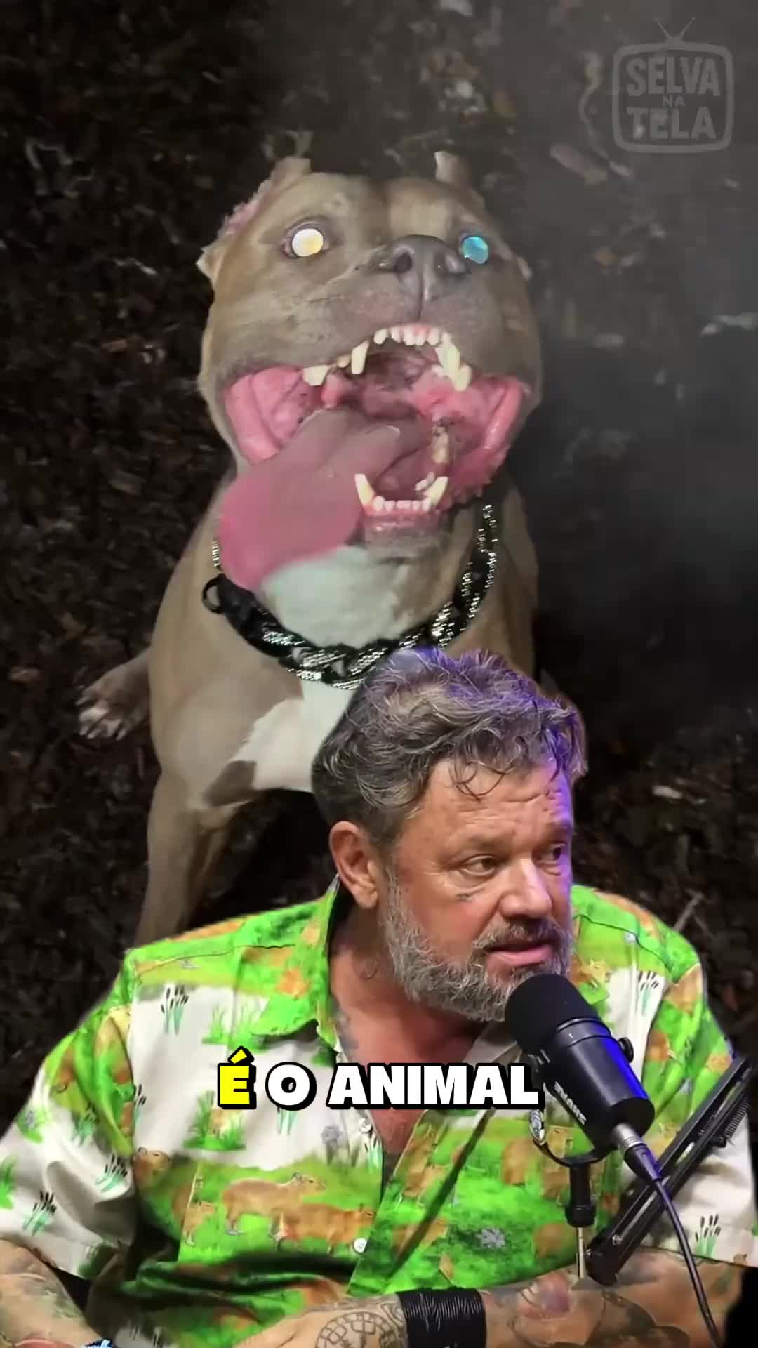@G๐๐๐๐๐๐_-๐ธ๐ทโค